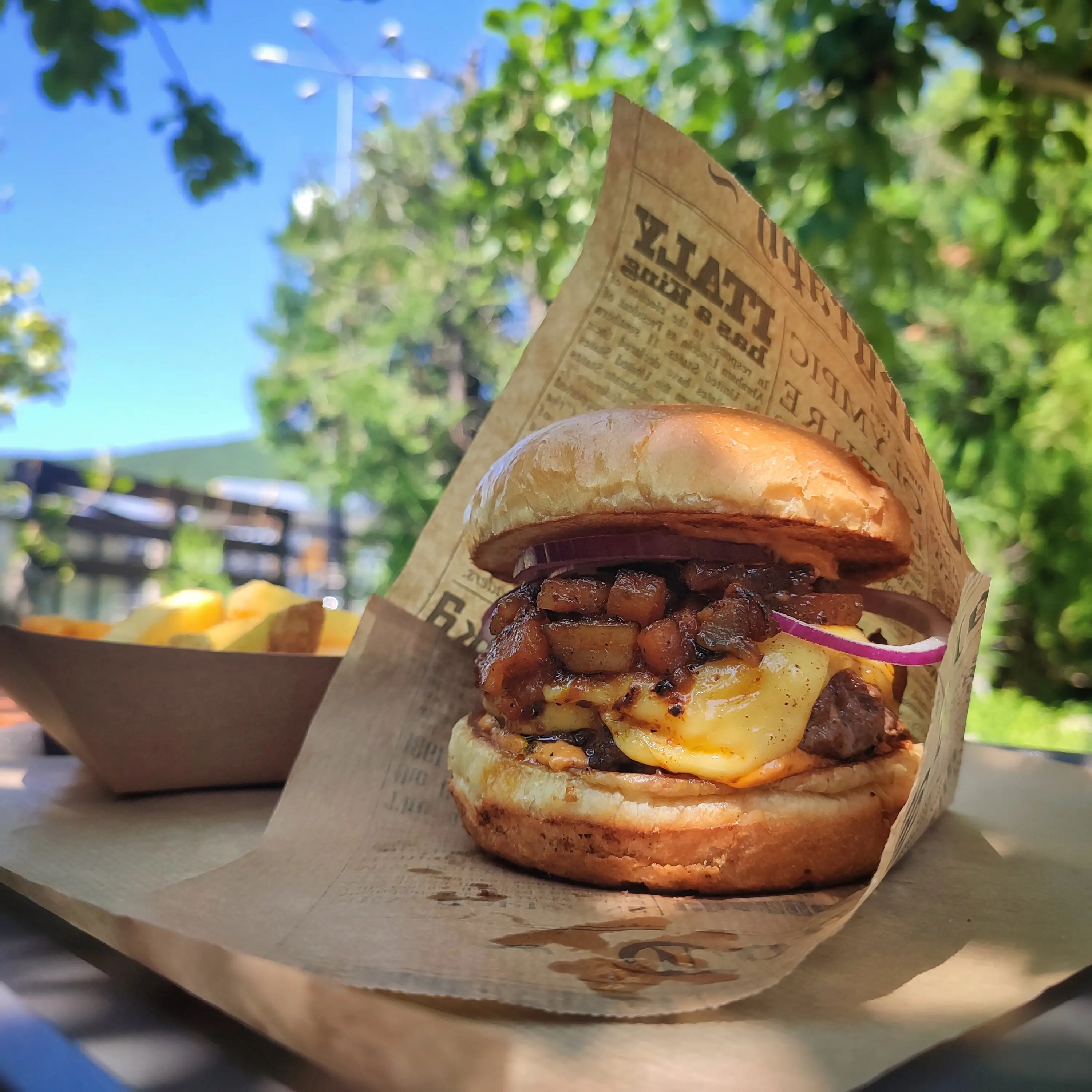 снимка/изображение steamhog-burger-sveti-vlas